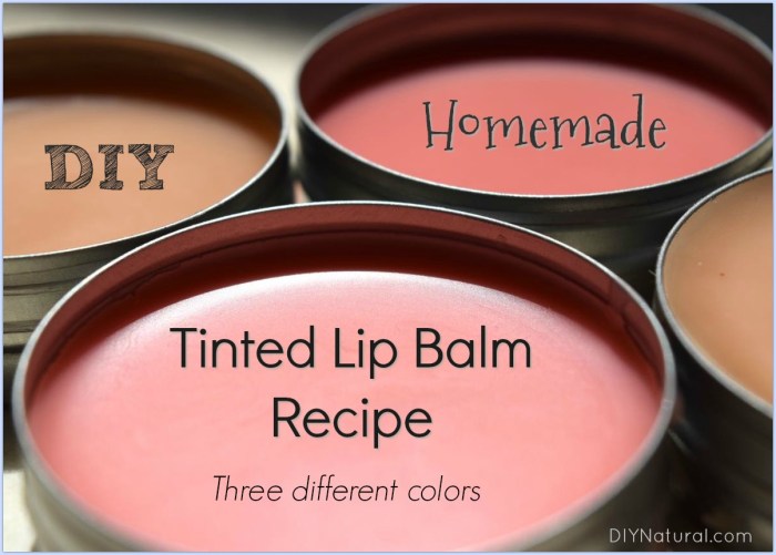Tinted Lip Balm — These Honey-Based Balms Make Awesome Gifts