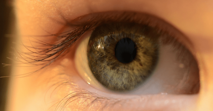 Eye creams for puffiness