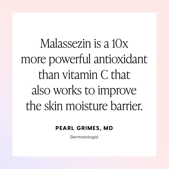 Malassezin: The Skin-Care Discovery in Mother Science Serum | PS Beauty Malassezin